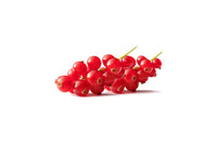 Red Currant